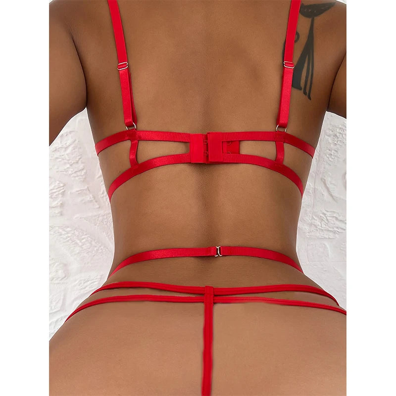 Unleash Your Inner Temptress with our Sultry Halter Bra Set - Explore Erotic Desires in Exquisite Lace and Mesh, Ready to Ignite Passion and Intrigue!"